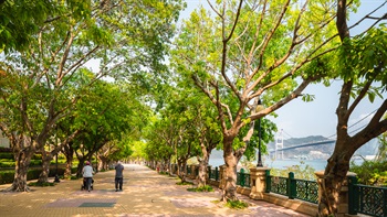海边的林荫大道提供清凉而宽广的空间，让人们能释放压力，在滨长廊散散步，看看海。